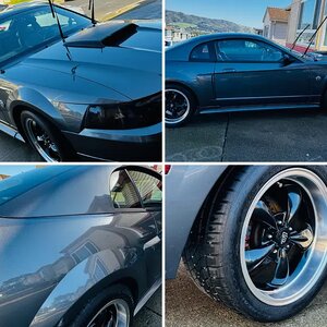 04 Mustang GT SN95  NEWEDGE