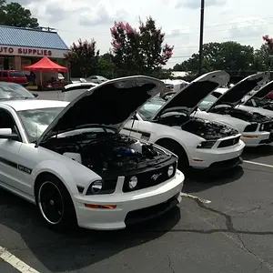 White Mustang Registry