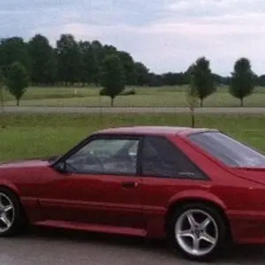 All Clean