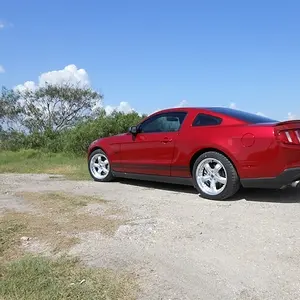 Roanstang's stance