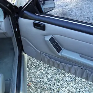 Passenger Side Door Panel
