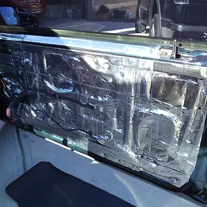 Passenger Side Door