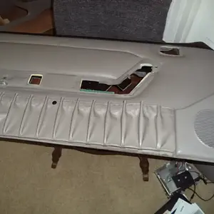 Driver's Door Panel