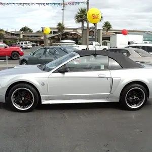 New Baby