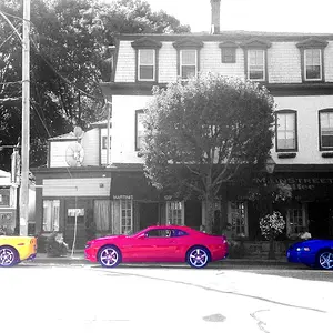Primary Colors