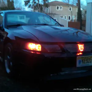 Project