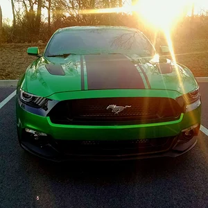 Mean Green
