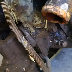 who does this?