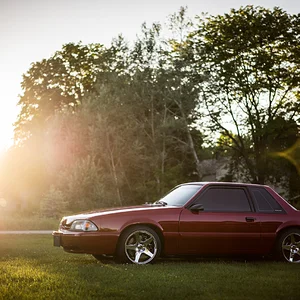 1988 Notch