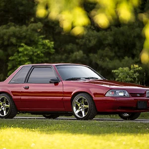 1988 Notch