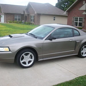 Bone Stock, near new cond.