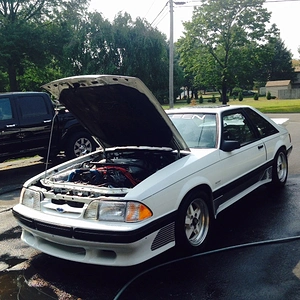 1989 Saleen Mustang #636