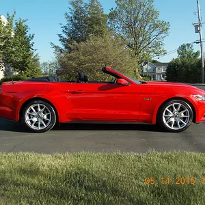 10 th Mustang and probably last