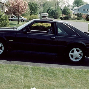 6th Mustang