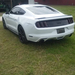 Tinted back lights
