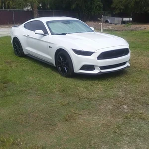 Tinted front lights