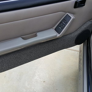 Finished Door Panel - 6.5" Blues/Linear Power mid