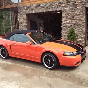 2004 Cobra GTR