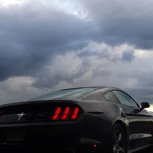 My 2015 Mustang fastback