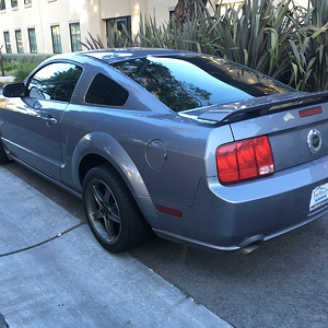 back