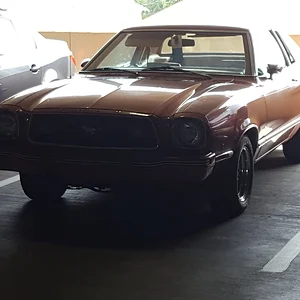 78(?) Ghia