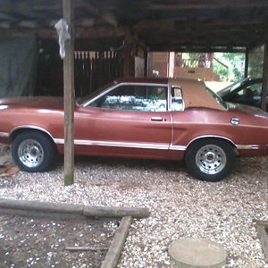 78 mustang