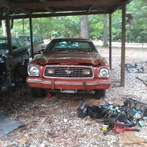 78 stang