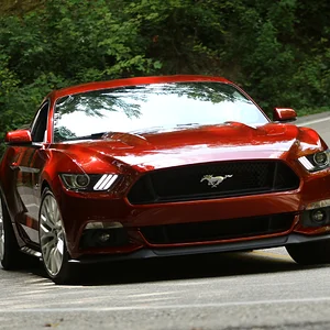 Tail of the Dragon 5