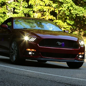 Tail of the Dragon 4