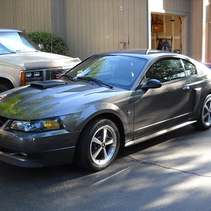 2003  Mach 1
