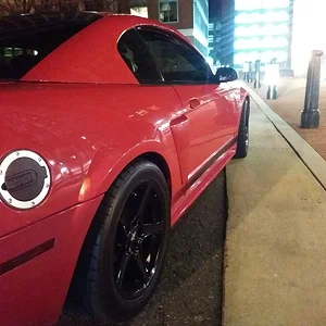 MUSTANG MADNESS