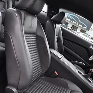 Interior 1