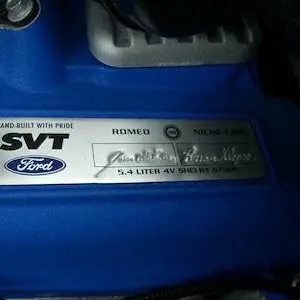Plaque