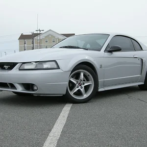 Eibach sportlines. I wouldn't use them again; a little too low.