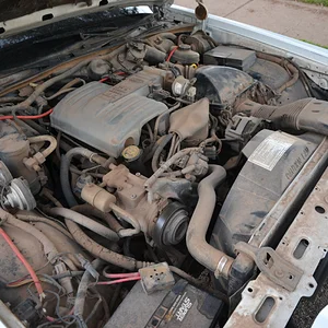 All the dirt in Texas was in this engine bay