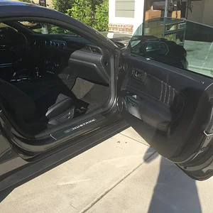Mustang1