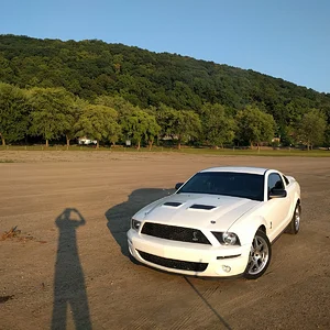 Shelby