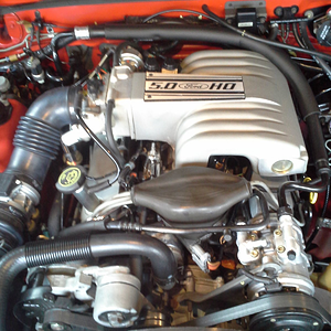 original intake