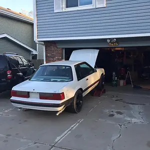 fox build