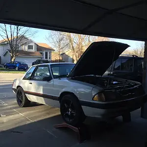 fox build