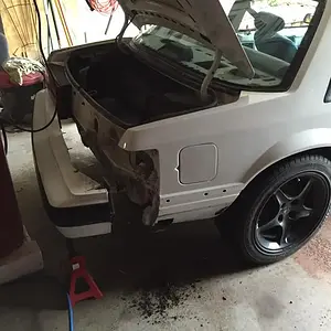 fox build