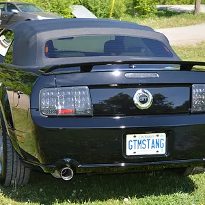 Rear.jpg