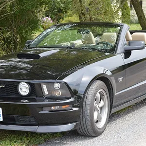 Top down.jpg