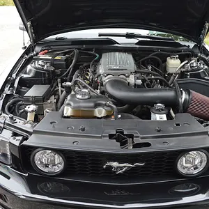 Under hood.JPG