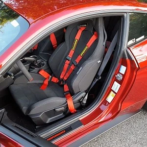 4 point harness.jpg
