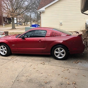 stang.jpg