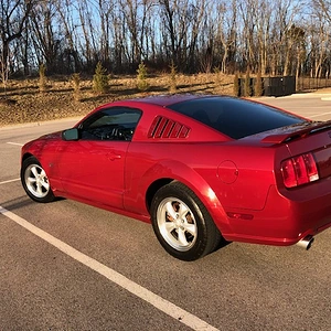 stang 2.jpg