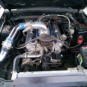 1988 Mustang GT - Heart of the beast