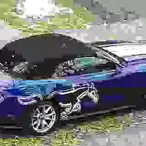 snodust aerial.jpg