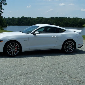 Mustang 1.JPG
